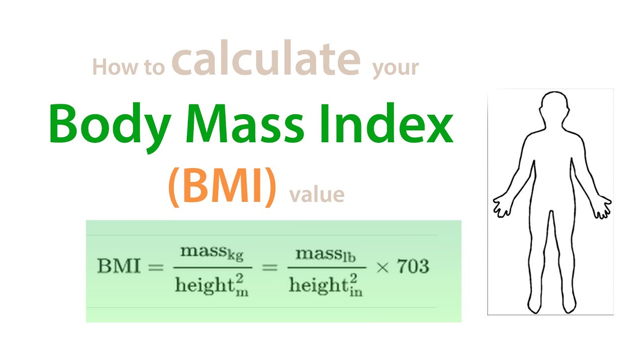 dissertation body mass index