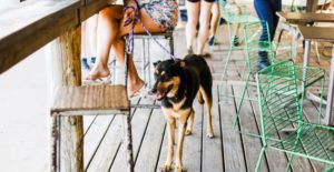 shutterstock_1326403796