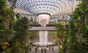 Your Ultimate Guide to Free Delights in Jewel Changi Airport