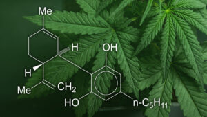 Cannabidiol_CBD_CU_05_1600x900 (2)