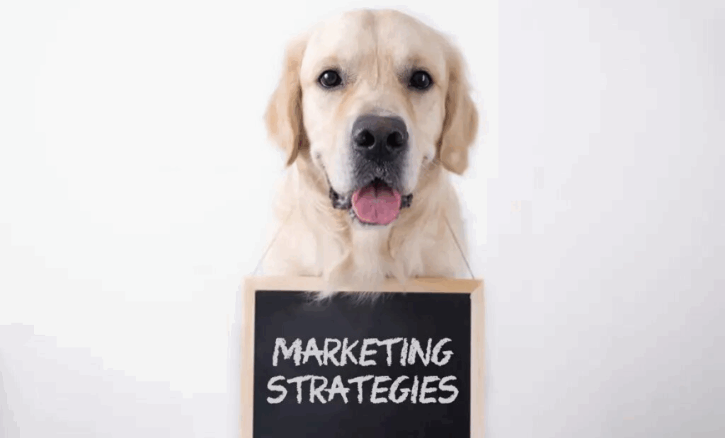 pet business marketing