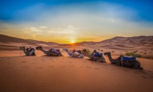 Imperial Cities Tour in Morocco